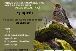 Atpūtas un ceļojumu piedāvājumi 15.04.2024 - 28.04.2024 Putnu vērošanas pārgājiens Veclaicenē! Alūksnes TIC
